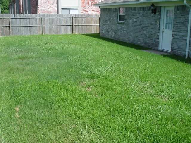 5314 Tallowpine Terrace, Katy, TX 77493