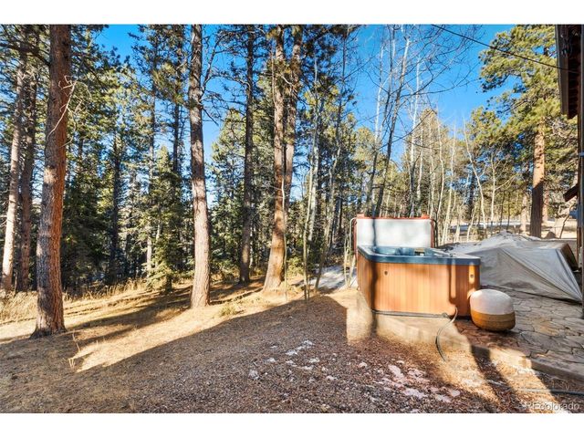 219 Pennsylvania Ave, Woodland Park, CO 80863