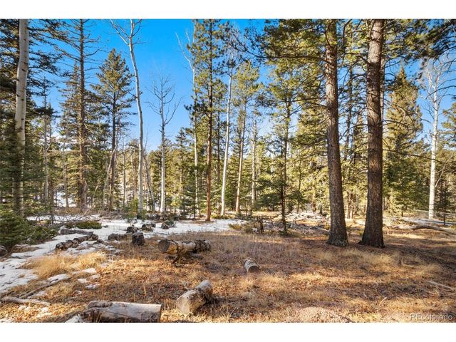 219 Pennsylvania Ave, Woodland Park, CO 80863