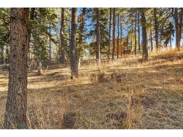 219 Pennsylvania Ave, Woodland Park, CO 80863