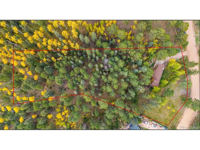 219 Pennsylvania Ave, Woodland Park, CO 80863