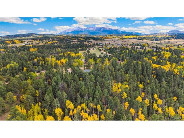 219 Pennsylvania Ave, Woodland Park, CO 80863