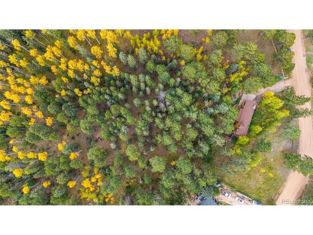 219 Pennsylvania Ave, Woodland Park, CO 80863