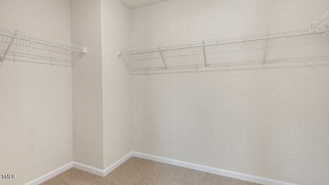 10811 Beard Way, Bailey, NC 27807