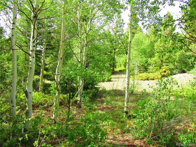 6093 Forbes Rd, San Luis, CO 81152