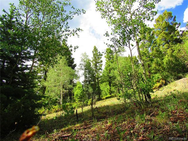 6093 Forbes Rd, San Luis, CO 81152