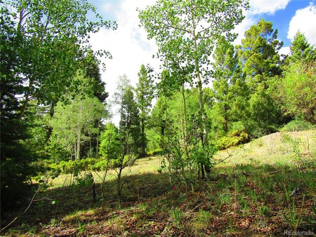 6093 Forbes Rd, San Luis, CO 81152