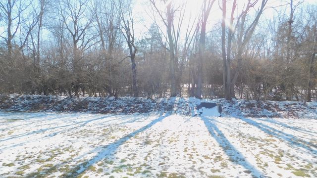 11127 Cowan Lake Court, Indianapolis, IN 46235