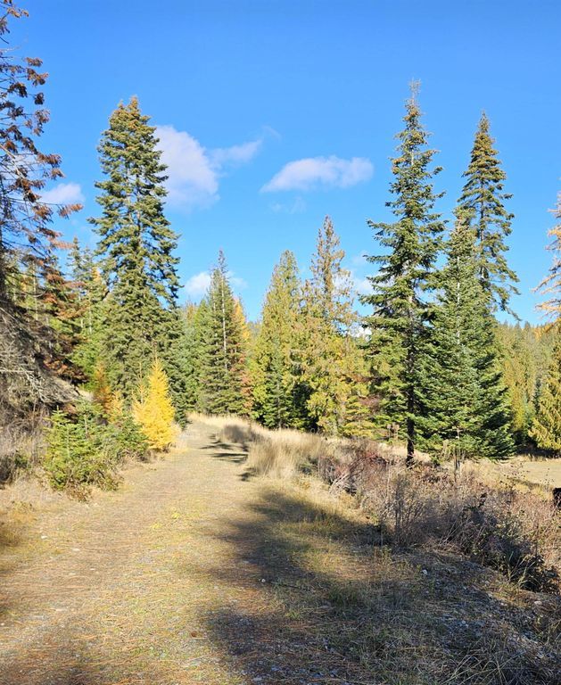 717 B Finley Gulch Rd, Colville, WA 99114 photo 2