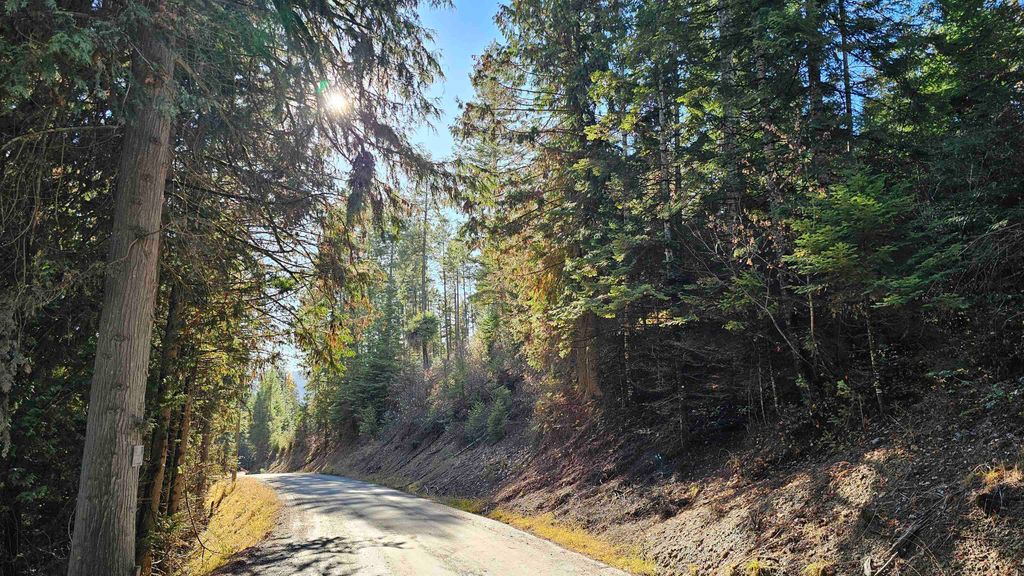 717 B Finley Gulch Rd, Colville, WA 99114 photo 11