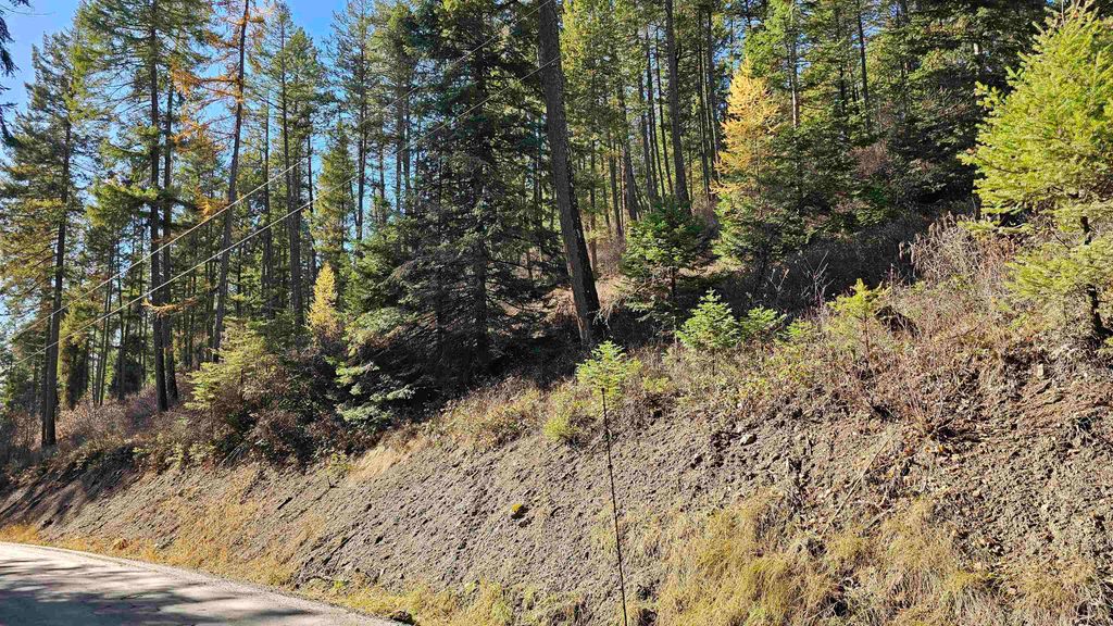 717 B Finley Gulch Rd, Colville, WA 99114 photo 12