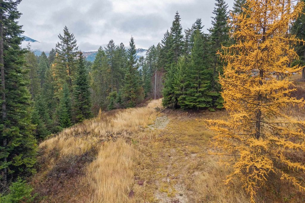 717 B Finley Gulch Rd, Colville, WA 99114 photo 16