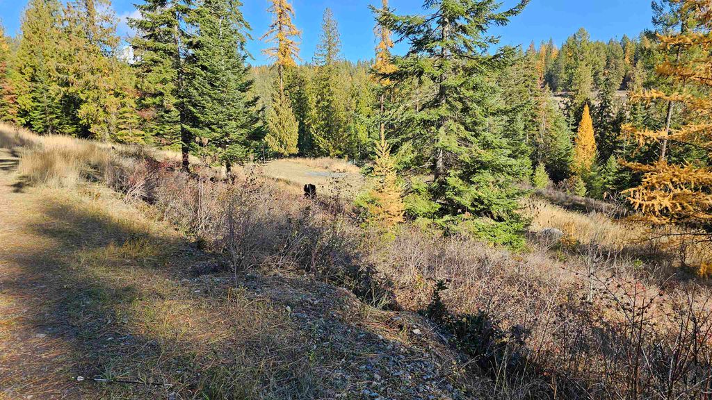 717 B Finley Gulch Rd, Colville, WA 99114 photo 3