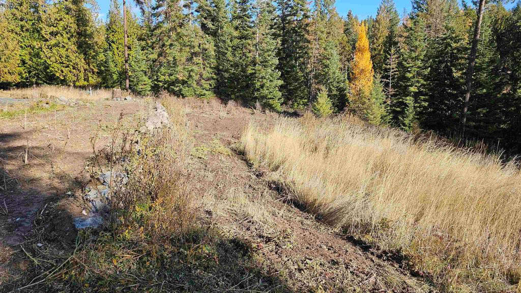 717 B Finley Gulch Rd, Colville, WA 99114 photo 4
