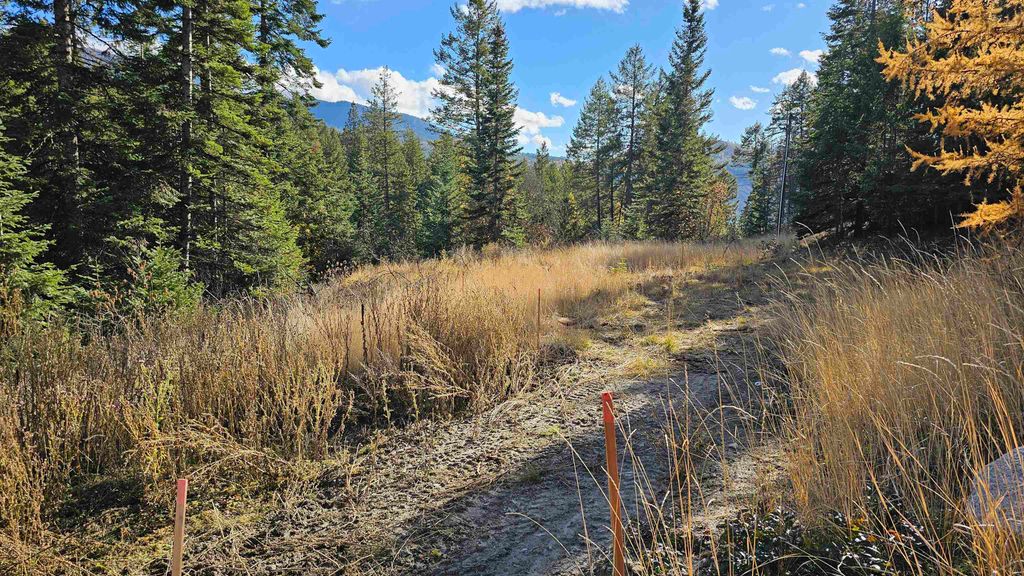 717 B Finley Gulch Rd, Colville, WA 99114 photo 5