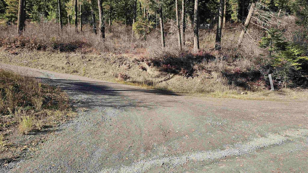 717 B Finley Gulch Rd, Colville, WA 99114 photo 6