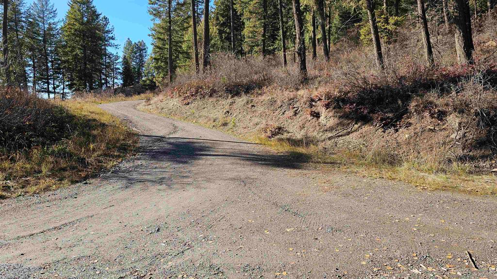717 B Finley Gulch Rd, Colville, WA 99114 photo 7