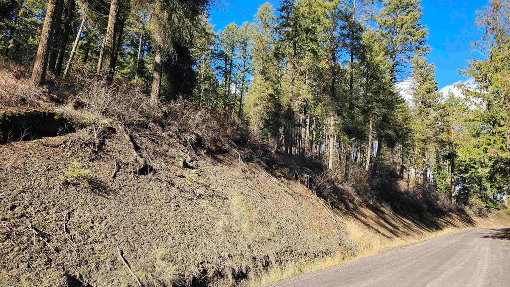 717 B Finley Gulch Rd, Colville, WA 99114 photo 8