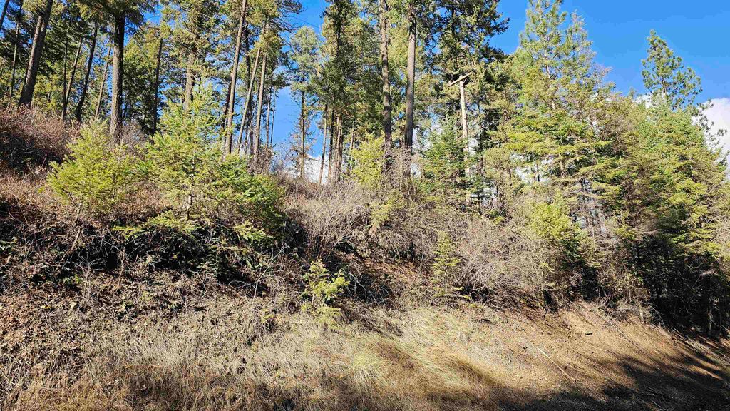 717 B Finley Gulch Rd, Colville, WA 99114 photo 9