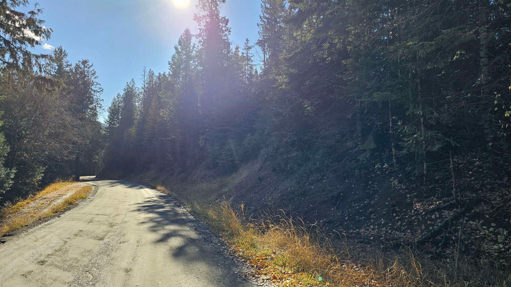717 B Finley Gulch Rd, Colville, WA 99114 photo 10
