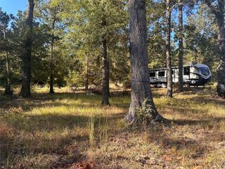 476 W Woodland Shores Drive, Point Blank, TX 77364