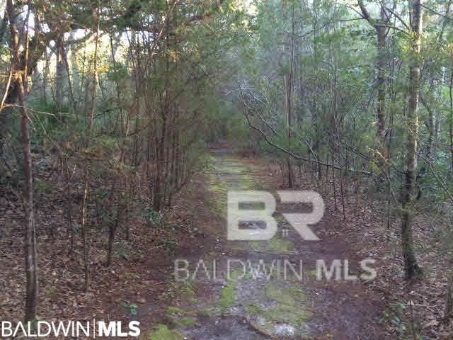 12078 W Fernwood Drive, Foley, AL 36535