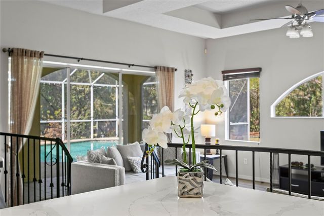 10501 CYNDEE LANE, Odessa, FL 33556