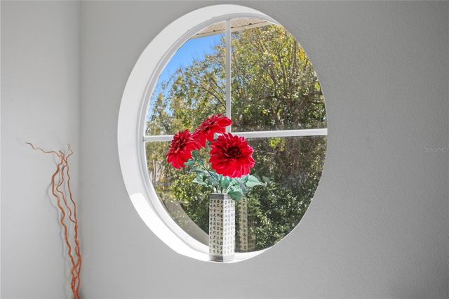 10501 CYNDEE LANE, Odessa, FL 33556