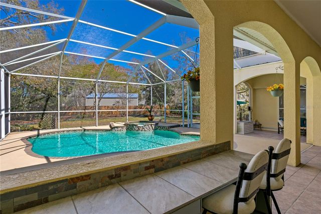 10501 CYNDEE LANE, Odessa, FL 33556