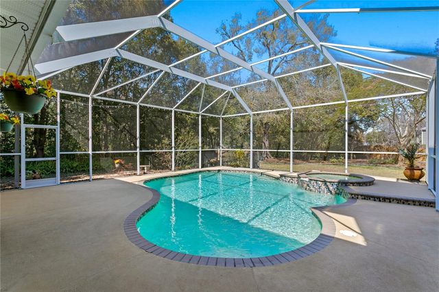 10501 CYNDEE LANE, Odessa, FL 33556