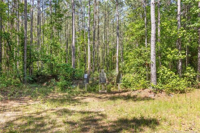 43 White Cloud Lane, Sanford, NC 27332