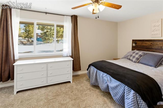 175 Piney Point Lane, Woodland Park, CO 80863