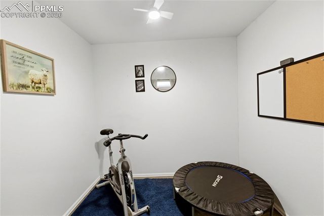 175 Piney Point Lane, Woodland Park, CO 80863