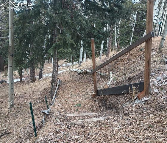 175 Piney Point Lane, Woodland Park, CO 80863