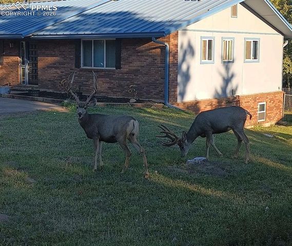 175 Piney Point Lane, Woodland Park, CO 80863