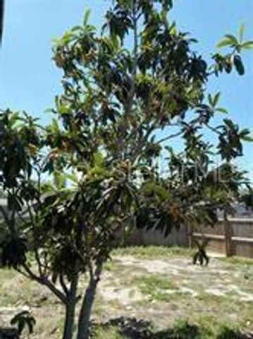 3650 PECONIC WAY, Holiday, FL 34691