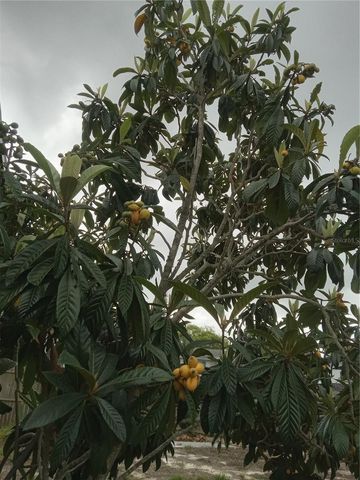 3650 PECONIC WAY, Holiday, FL 34691