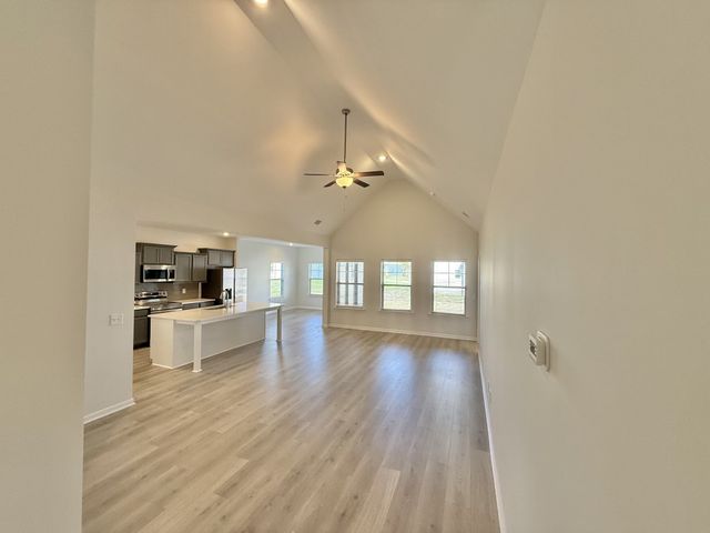 25 Ellie Jan Way, Manchester, TN 37355