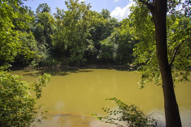 1547 Oak Springs Drive, Columbia, TN 38401