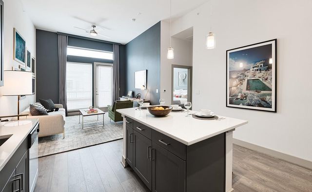 160 Birdsall 1343, Houston, TX 77007