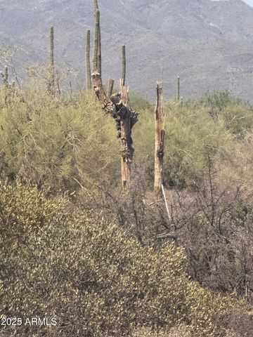 31210 N 168TH Street, Rio Verde, AZ 85263