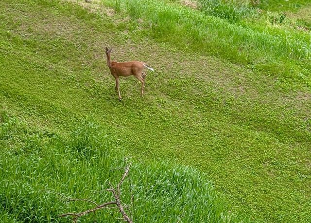 N2046 Orchard Valley DRIVE, La Crosse, WI 54601