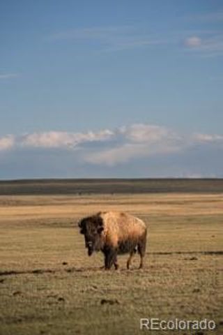 33185 9, Hartsel, CO 80449