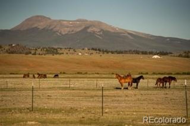 33185 9, Hartsel, CO 80449