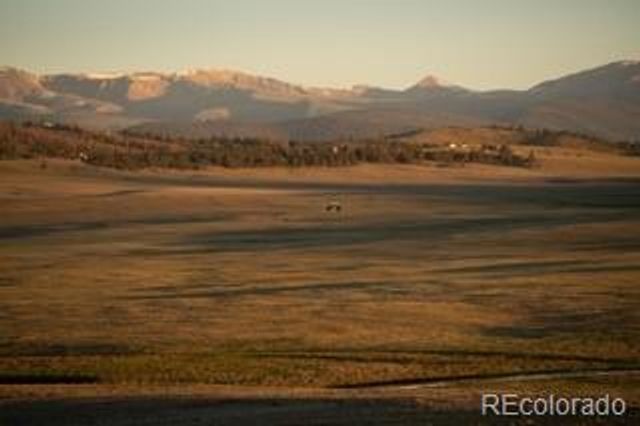 33185 9, Hartsel, CO 80449
