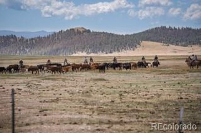 33185 9, Hartsel, CO 80449
