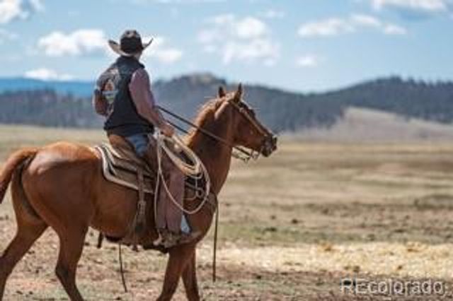 33185 9, Hartsel, CO 80449