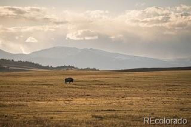 33185 9, Hartsel, CO 80449