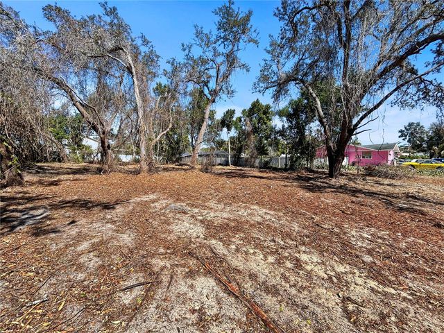 ROBIN AVENUE, Palm Harbor, FL 34683