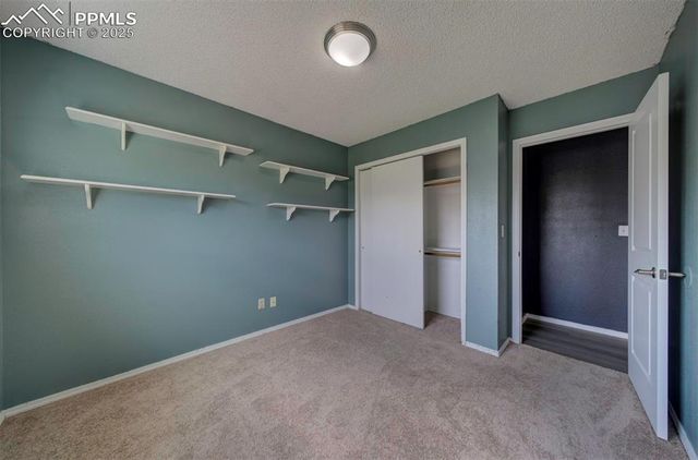 109 Blossom Field Court, Fountain, CO 80817